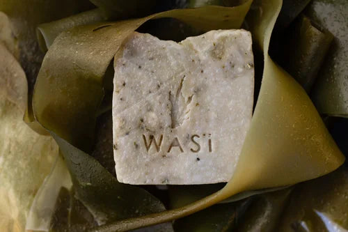 Bar of soap with 'WASI' branding on a bed of seaweed