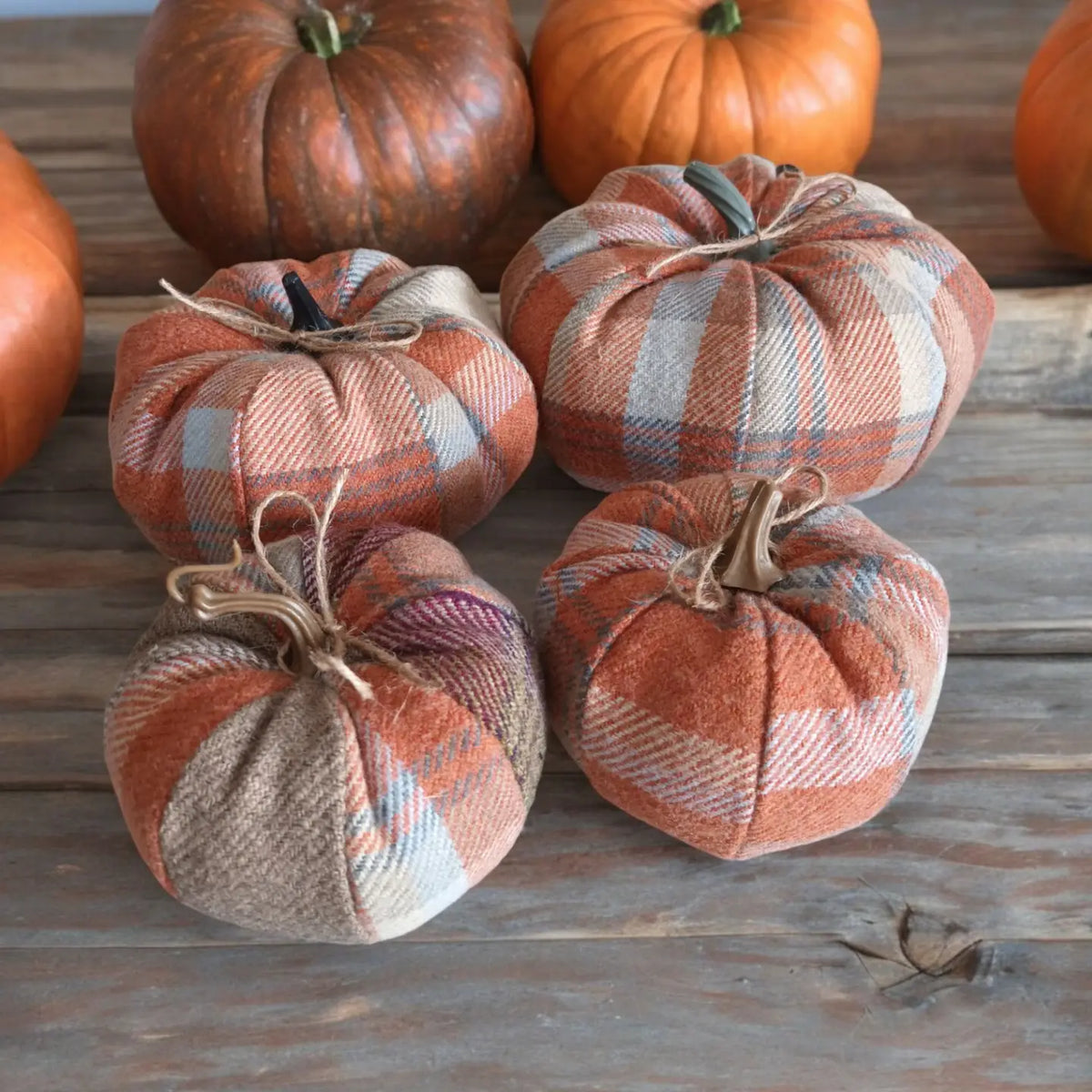 Four fabric pumpkins in a rustic autumn plaid pattern, arranged on a weathered wooden surface with real pumpkins in the background.