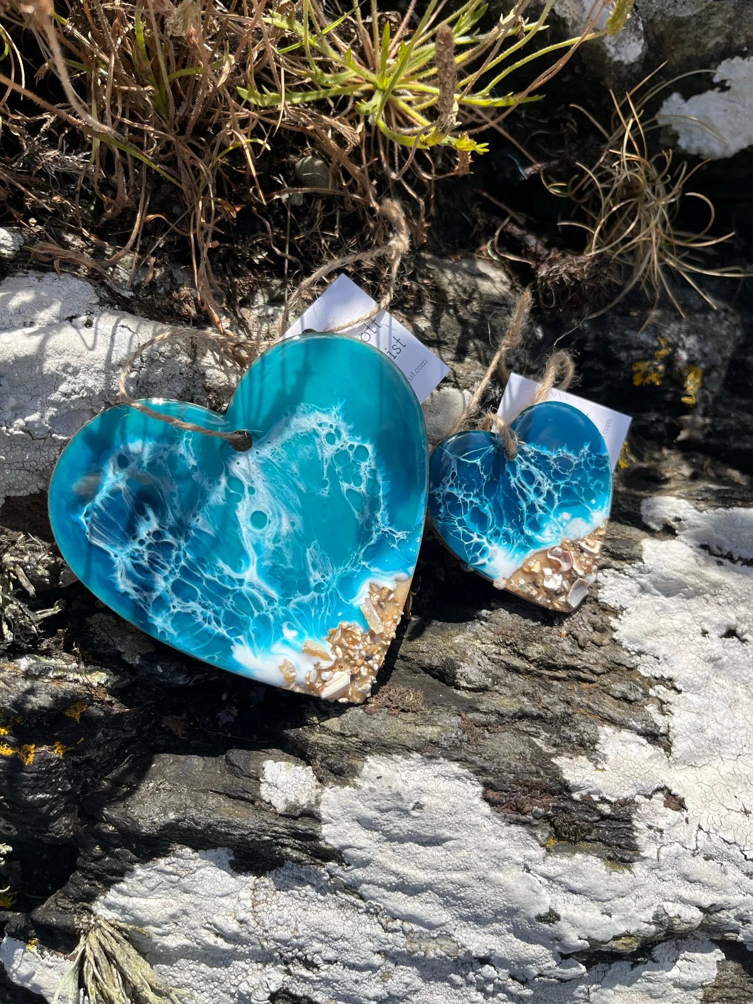 Two turquoise heart-shaped stones on a rocky surface with plants.