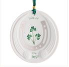 Decorative ornament with a horseshoe and shamrock design, featuring the text 'Luck of the Irish'.