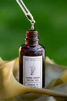 Brown glass bottle of seaweed infused facial oil with dropper on a green background