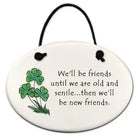 Round ceramic plaque with shamrocks and humorous friendship quote on a white background
