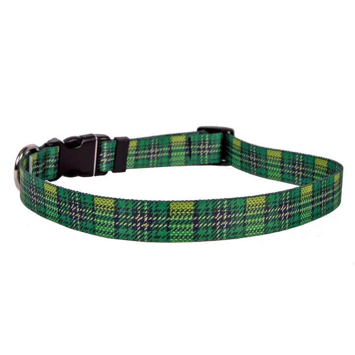 Green plaid dog collar on a white background