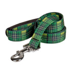 Green plaid dog leash with a silver clip on a white background