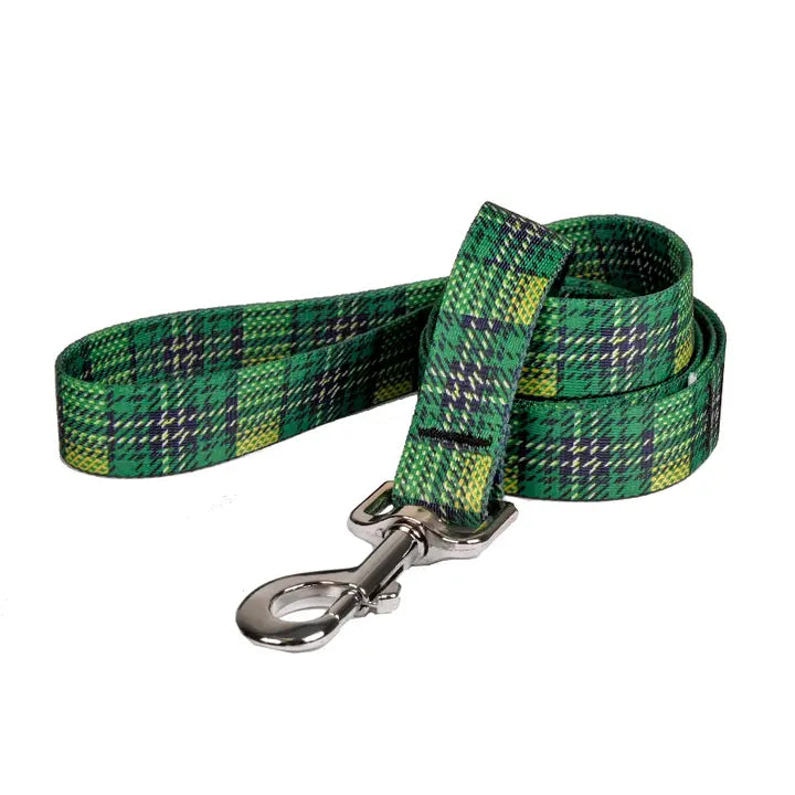 Green plaid dog leash with a metal clip on a white background