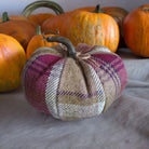 A decorative fabric pumpkin in a plaid pattern of beige, burgundy, and purple, styled in the foreground with real pumpkins in the background on a gray fabric surface.