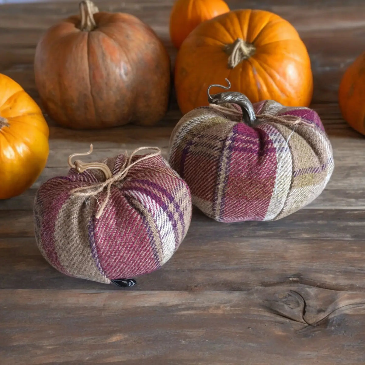 Two fabric pumpkins made from plaid wool in autumn shades of rust, burgundy, beige, and brown, tied with twine and displayed on a rustic wooden surface with real pumpkins in the background.