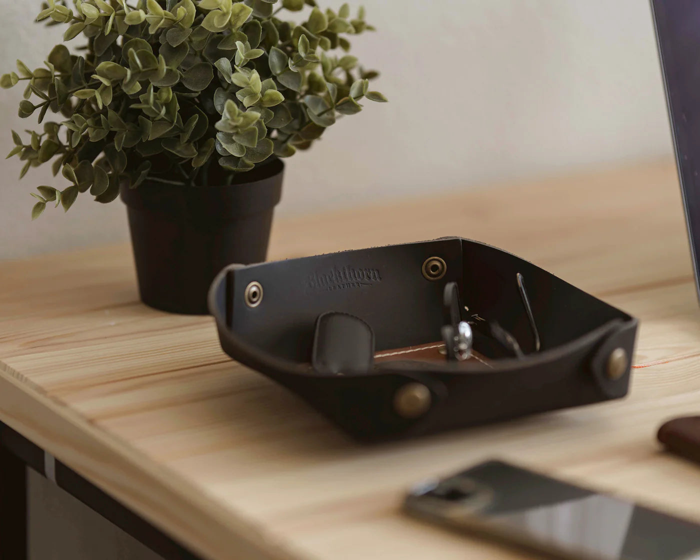 Black leather tray with gold accents on a wooden surface next to a potted plant.